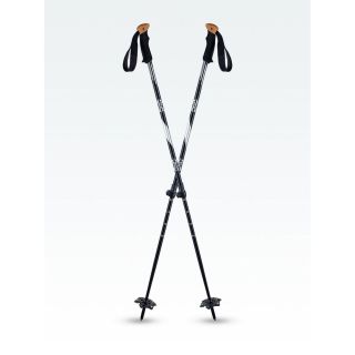 Skiing and Snowboarding